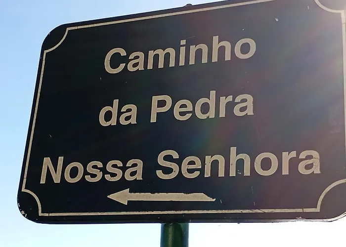 Yellow Owl Ii Bedroom Ii 公寓 Campanário