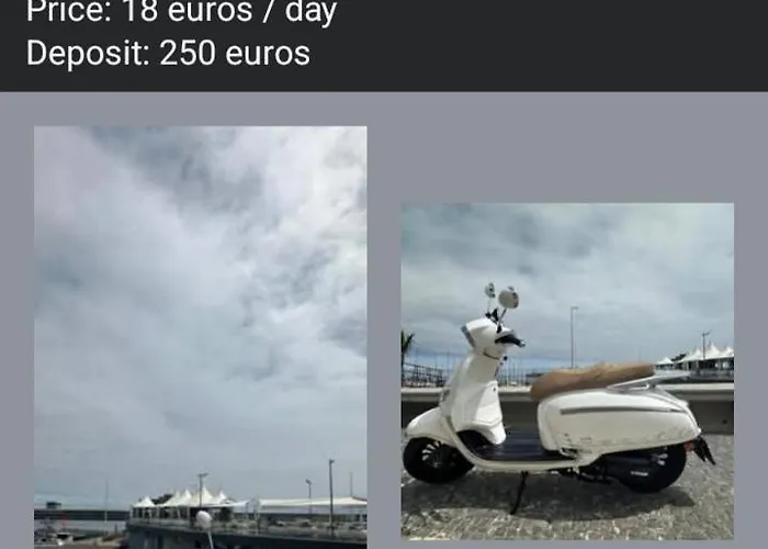 Yellow Owl Ii Bedroom Ii 公寓 Campanário